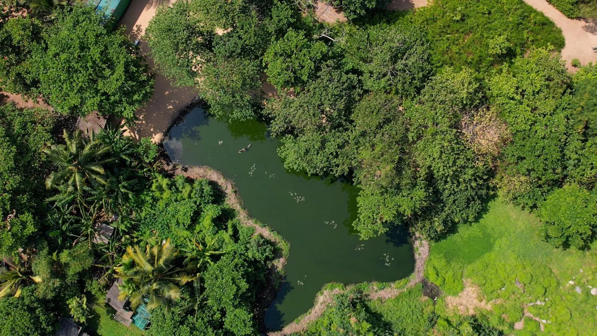 **** Отель Pegasus Reef - A Beach Resort In Colombo Ваттала Шри-Ланка